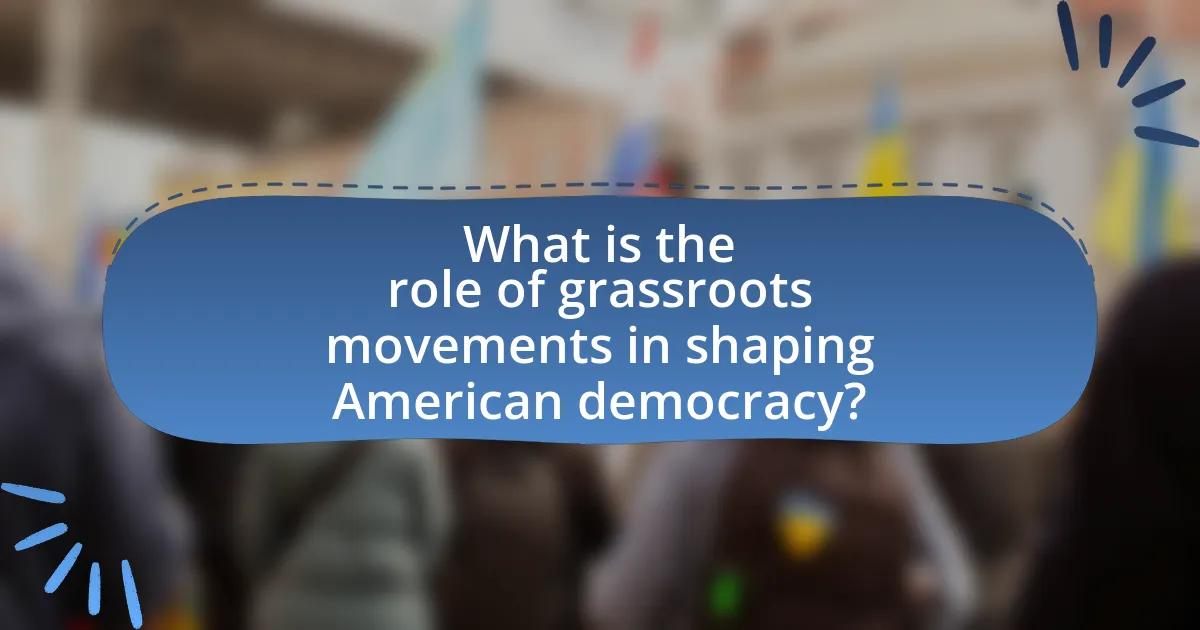What is the role of grassroots movements in shaping American democracy?