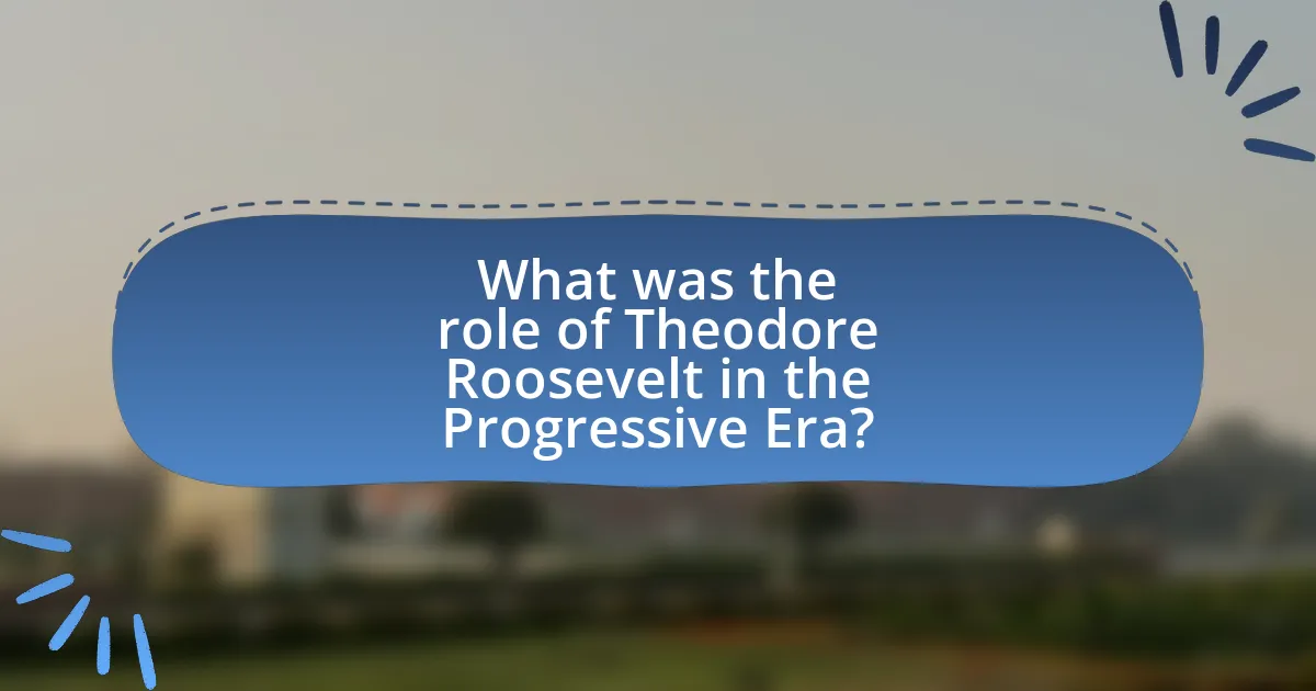 What was the role of Theodore Roosevelt in the Progressive Era?